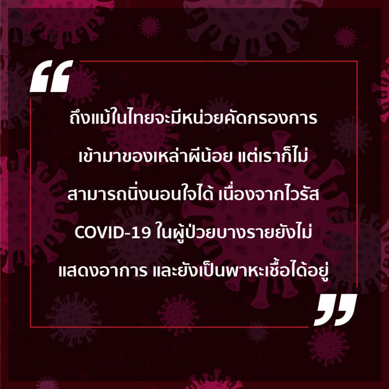 รายละเอียดผีน้อย4