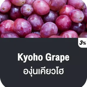 vmc 12000 puff kyoho grape