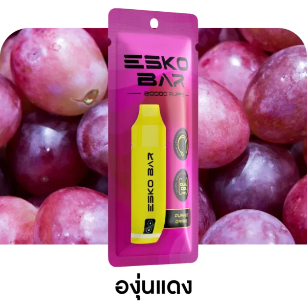 ESKO BAR 20000 Puffs Purple Grape