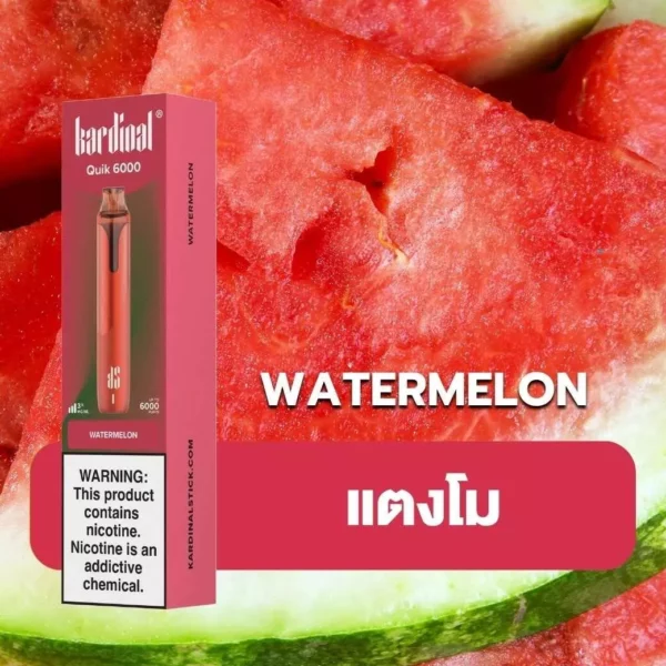 Ks Quik 6000 Puff Watermelon