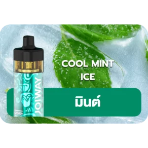 Joiway F3 Cool Mint Ice