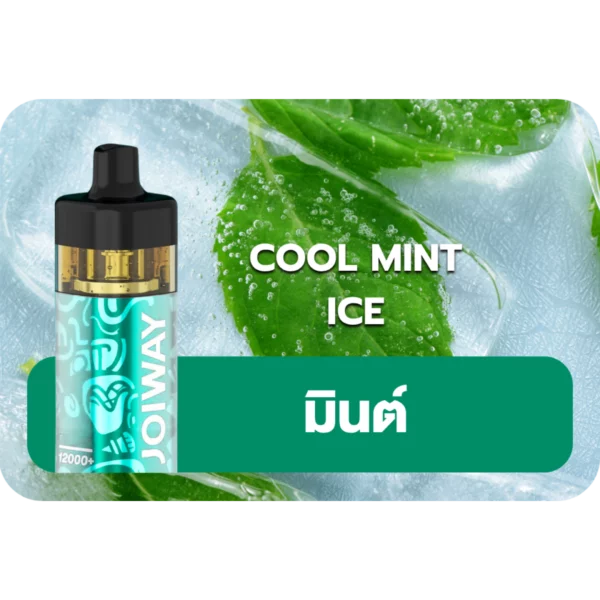 Joiway F3 Cool Mint Ice