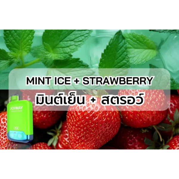 Joiway F4 MINT ICE + STRAWBERRY